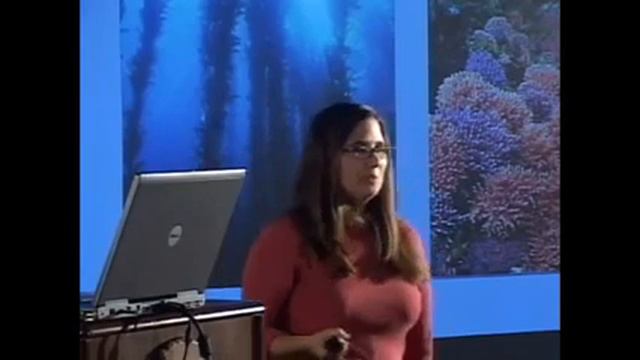 July 2007 From Shore to Sea Lecture: Citizen Monitoring in the Marine Reserve Network смотреть онлайн