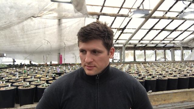 Кто придумывает названия видов и сортов растений смотреть онлайн