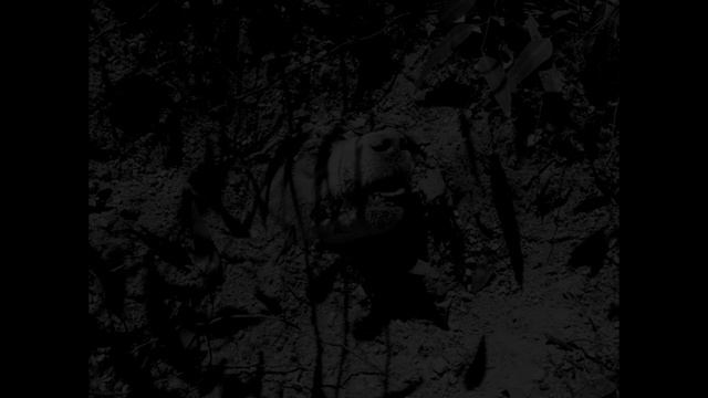 -Spartan Mykaell (CREEPY PASTA) A Boy And His Dog смотреть онлайн