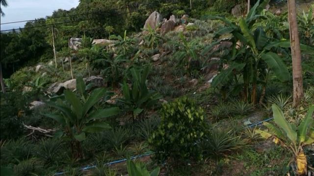 Часть 3  Я не могу иначе  христианская повесть