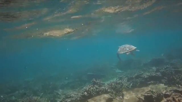 Новый туристический остров Диффуши на Мальдивах. Плюсы и минусы. Райское место! смотреть онлайн