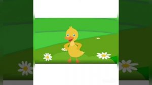 Танец маленьких утят.