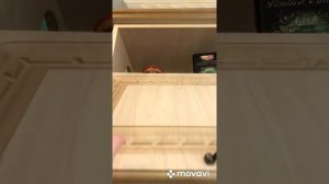 Отошла пленка на фасаде