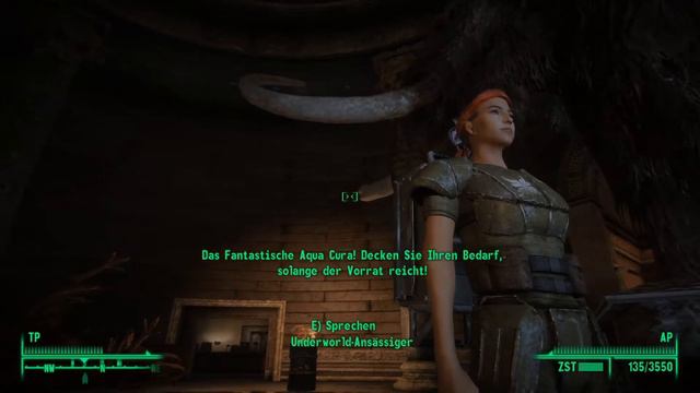 Lets play Fallout 3 193 [Ger/1080p] schmierige Perücke und schmieriger Typ смотреть онлайн