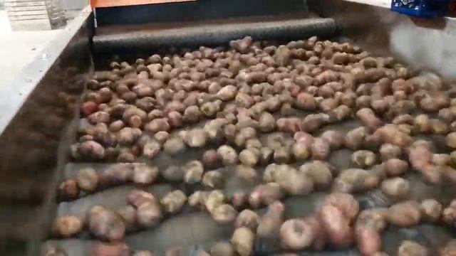 Процесс сухой очистки картофеля1 смотреть онлайн