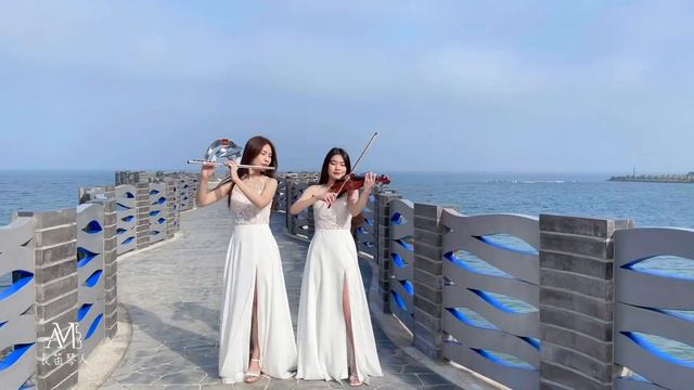 神鬼奇航《Pirates of the Caribbean》Violin & Flute cover｜cover by 長笛琴人 смотреть онлайн