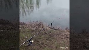 Рыбалка в КБР!!!! Рыбалка у Русика Чегем первый !!!!