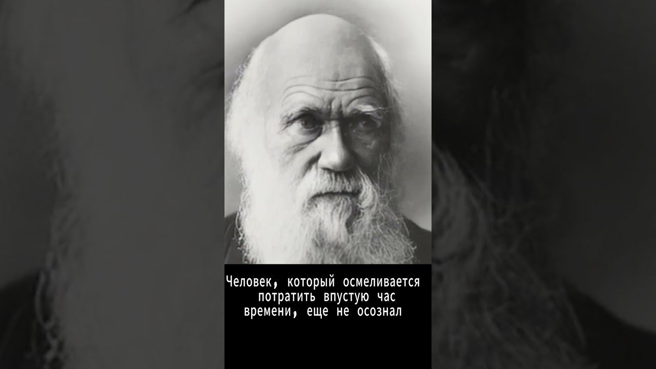 #Shorts Нейросеть оживляет. Ч. Дарвин #дарвин смотреть онлайн