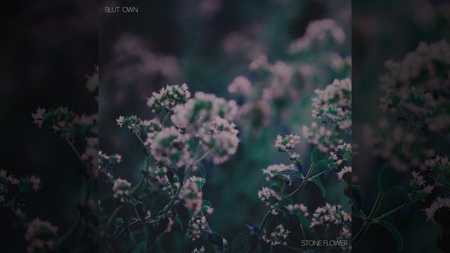 Stone Flower смотреть онлайн