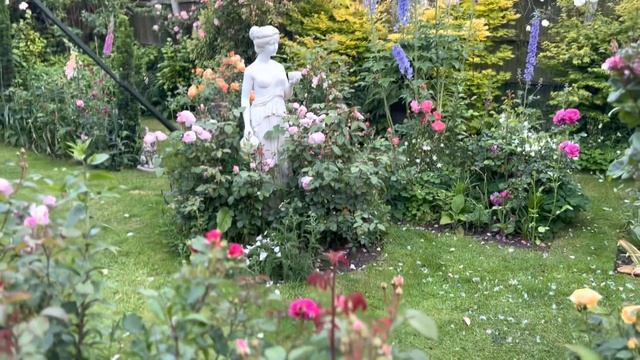 Full English Rose Garden Tour | Over 160 Roses Including David Austin Roses | Kordes & More