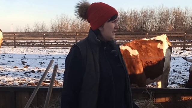 10 ТЫСЯЧ?? Коту под ХВОСТ?? ИЛИ НЕТ.... смотреть онлайн