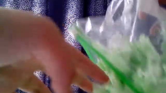 Поделка террариум с улиткой№2 смотреть онлайн