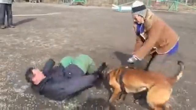 Малинуа Данди. Тренировка. смотреть онлайн