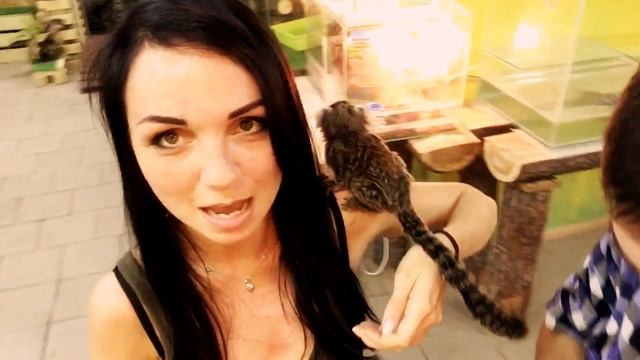 #31 Контактный зоопарк 'Бабочки' (м.Коломенская, тц Нора) смотреть онлайн