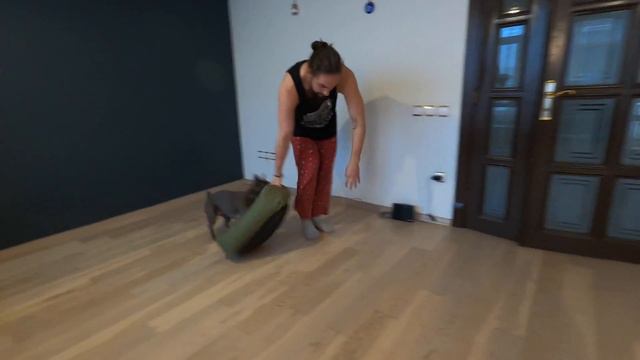 Влог. День 29. День прокрастинации продолжается😂 У природы нет плохой погоды? - Не, не слышали!😒 смотреть онлайн