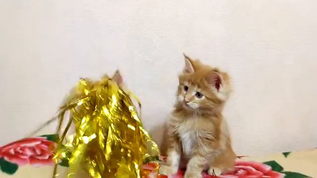 Космос и Кукла смотреть онлайн