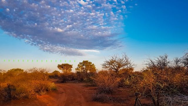 Nature and wildlife sounds from the African savanna смотреть онлайн