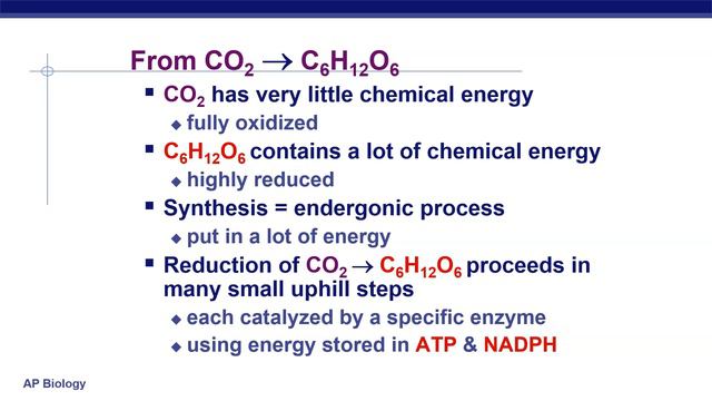 Big Orange Biology #014- Photosynthesis смотреть онлайн