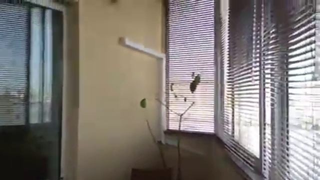 Красивый балкон смотреть онлайн