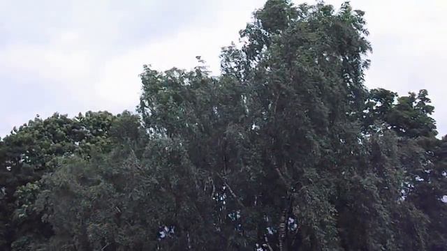 004 Какой большой ветер смотреть онлайн