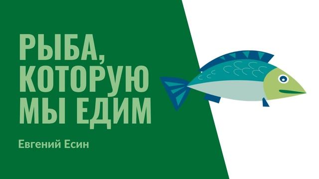 4. Рыба, которую мы едим смотреть онлайн