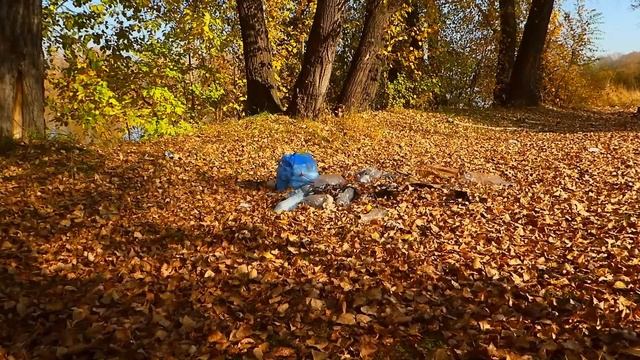 Отдых на природе ??? Миша и мама заботятся о природе. смотреть онлайн