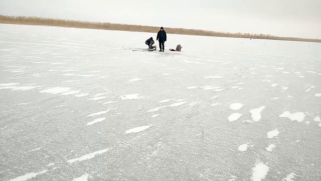 Рыбалка по первому льду на озере Шолак, Казахстан смотреть онлайн