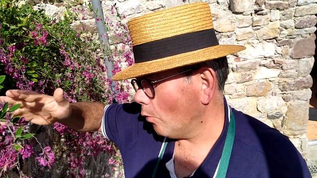 Superbe arbuste violet en automne : le Lespedeza thumbergii смотреть онлайн