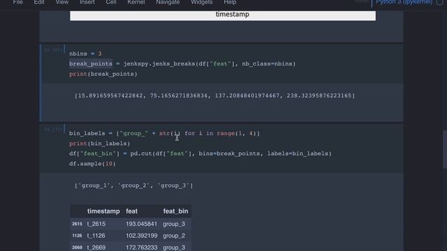 Feature Engineering Course - Fisher-Jenks Natural Binning смотреть онлайн