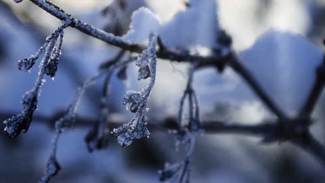 Экскурсия на Моховые Горы. смотреть онлайн