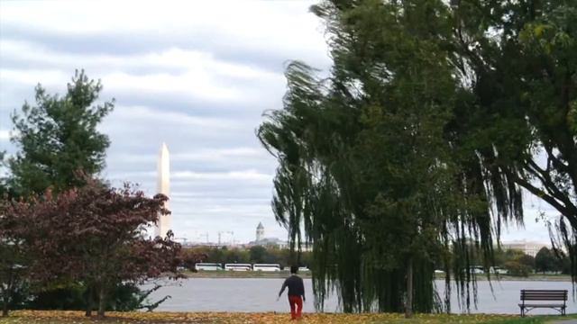 Dance Improvisation | Contemporary Dance | Lady Bird Johnson Park, D.C. смотреть онлайн