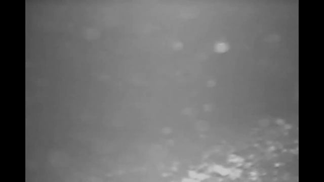 Етыпур 17.02.2019 второй день смотреть онлайн