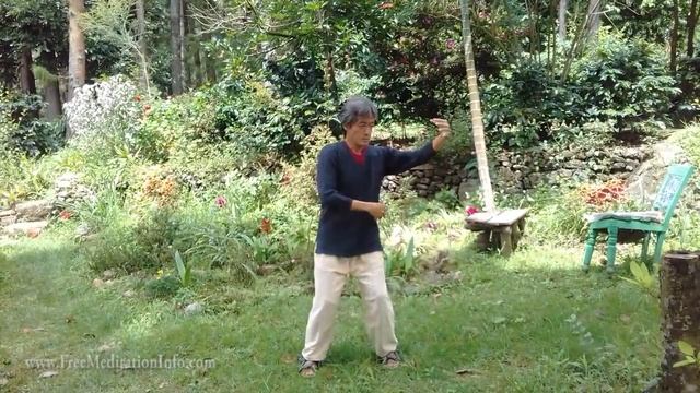Shibashi - The 18 movements with instruction; Tai Chi/Qigong. смотреть онлайн
