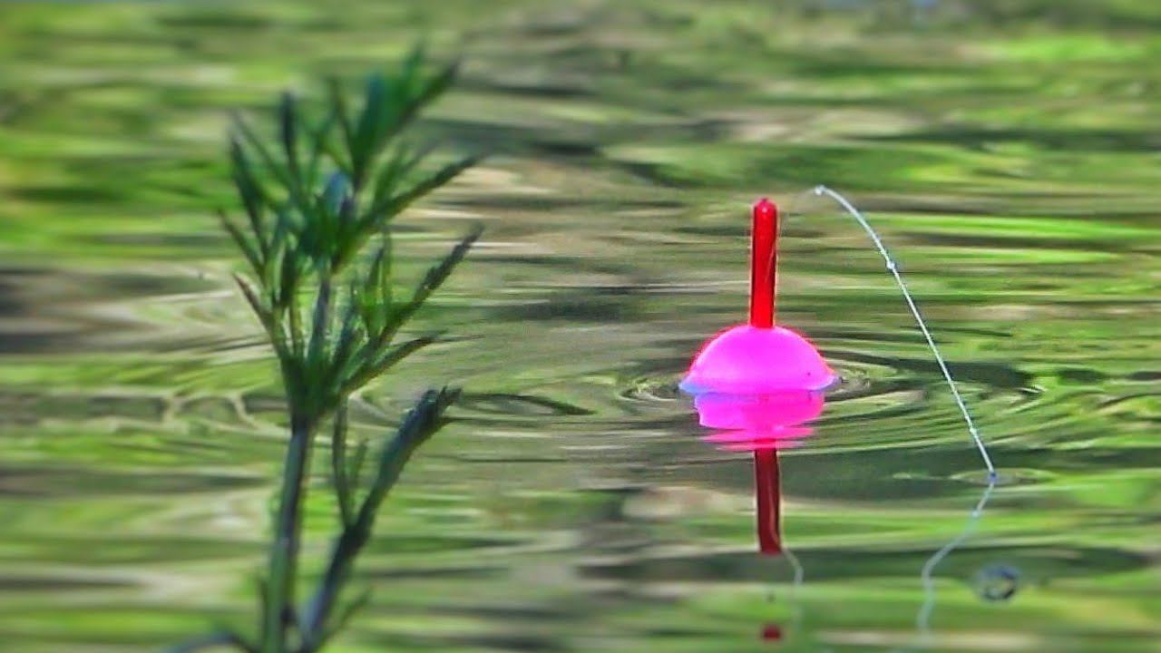 РУЧЕЙ ПО КОЛЕНО, а КРУПНЯКА ПОЛНО! ПОПЛАВОК ВЕДЁТ, УДОЧКУ ГНЁТ! Рыбалка в лесном ручье смотреть онлайн