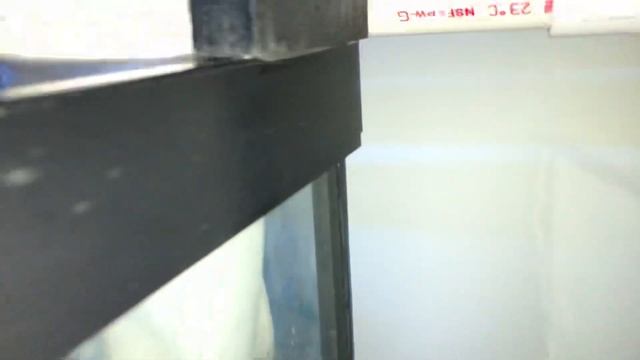 Integrated Cichlid Aquaponics system смотреть онлайн