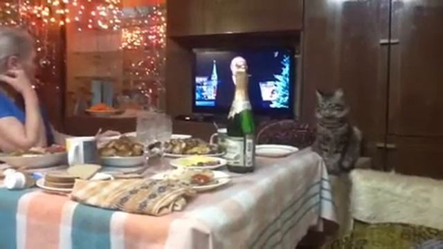 Ждемс... смотреть онлайн