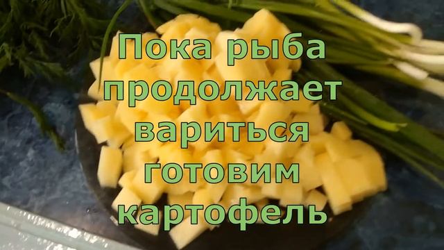 Игровой Мир