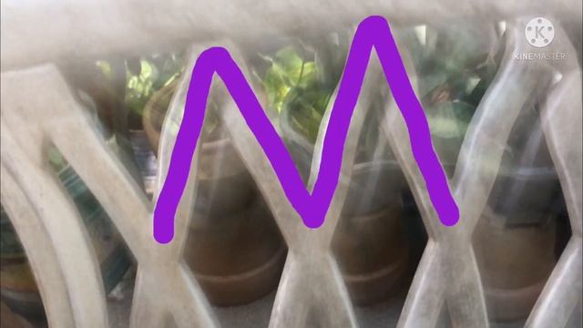 Aeshean Alphabet Nature Hunt (COLOR ALPHABETS!) смотреть онлайн