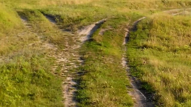 Продажа участка в г. Кобеляки, в Украине. рядом озеро, лес, грибы и река. смотреть онлайн