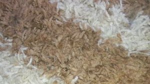 Чистим ковер с большим ворсом. Химчистка #НОМЕРОДИН Оренбург ковер шегги