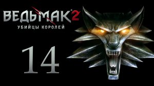 The Witcher 2 / Ведьмак 2 - Главный по покеру во Флотзаме - Прохождение игры [#14] | PC (2017 г.)