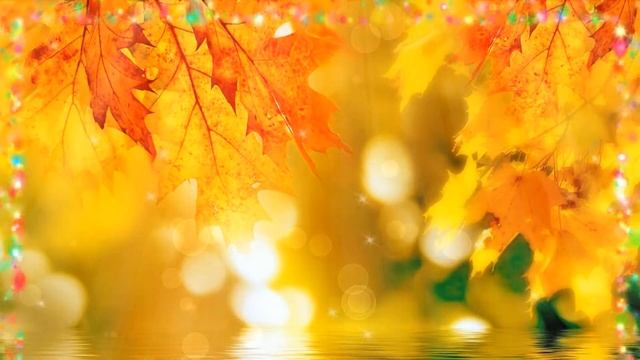 Осенний фон. Кленовые листья, блестки, вода, боке - футаж для видео монтажа. Красивый фон осень. смотреть онлайн
