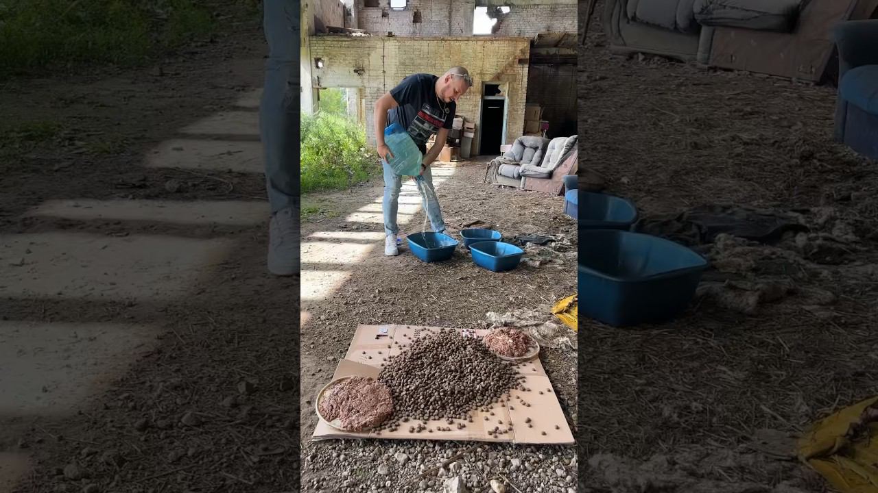 Счастье в простоте — это умение находить радость в каждом мгновении.