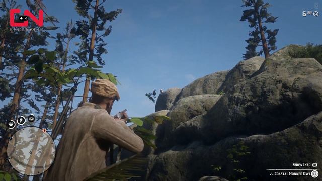 RDR2 Online - Daily Challenge - Kill 1 Owl - Owl Location смотреть онлайн