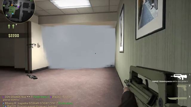 CS:GO | Wygląda jak trigger bot XD смотреть онлайн