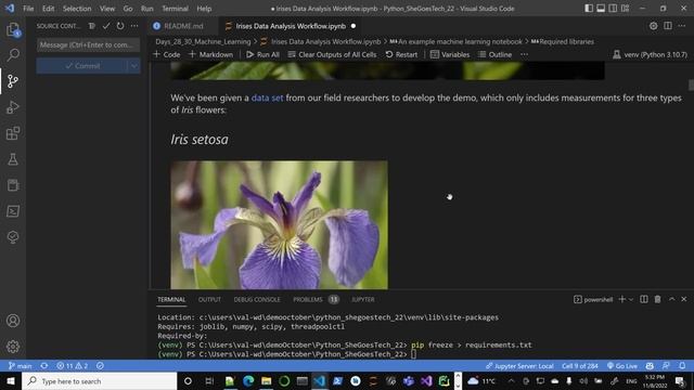 Python SheGoesTech Day28 - Part 2 - ML Task Objectives 2022 11 08 17 28 12 edit смотреть онлайн