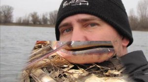 Рыбалка в апреле на нижней волге