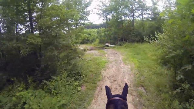 Cross Country at Hilltop Equestrian Center смотреть онлайн