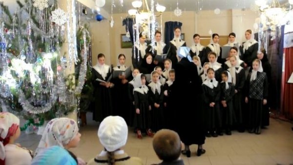 Водят звезды хоровод