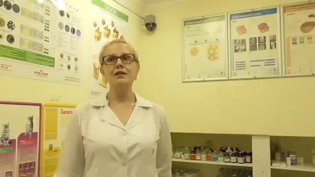 Пироплазмоз (Бабезиоз) у собак смотреть онлайн